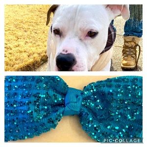 Cute🐾 DOG 🐾Bow Handcrafted Accessory (NWT)